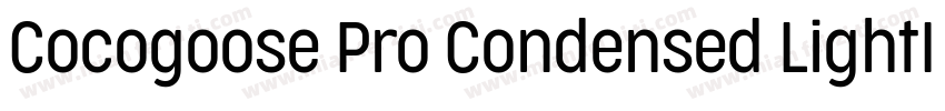 Cocogoose Pro Condensed LightIta字体转换